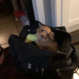 Meet your Posher, Melanie